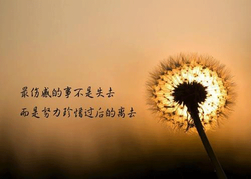 1575973635744808.png 1.png
