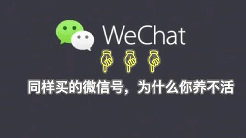 1575974693309935.png 1.png